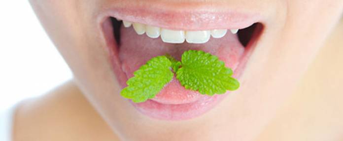 Welche Hausmittel helfen gegen Mundgeruch?